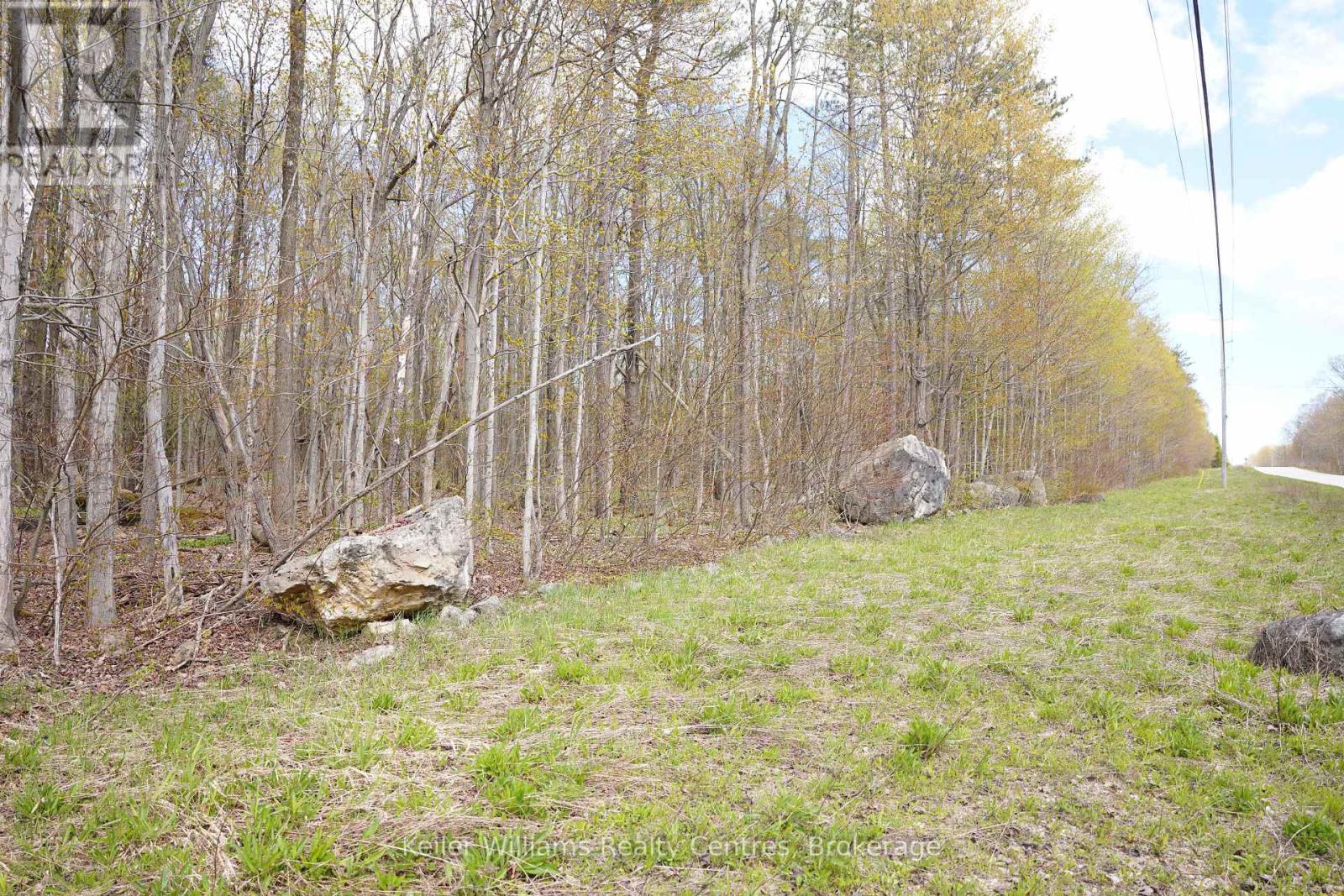Lot 16 Grey Road 17, Georgian Bluffs, Ontario  N0H 2T0 - Photo 9 - X12763134