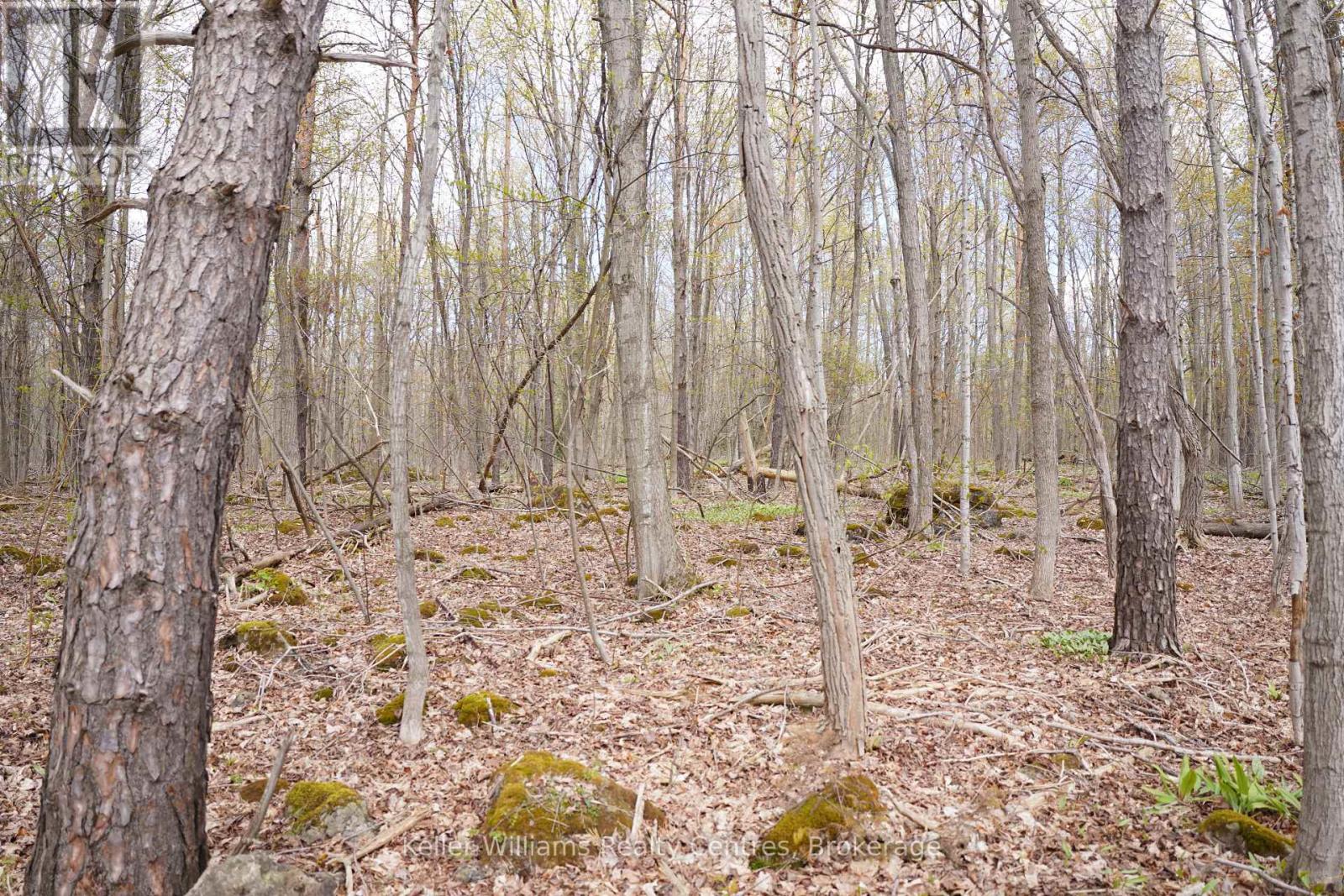 Lot 16 Grey Road 17, Georgian Bluffs, Ontario  N0H 2T0 - Photo 7 - X12763134