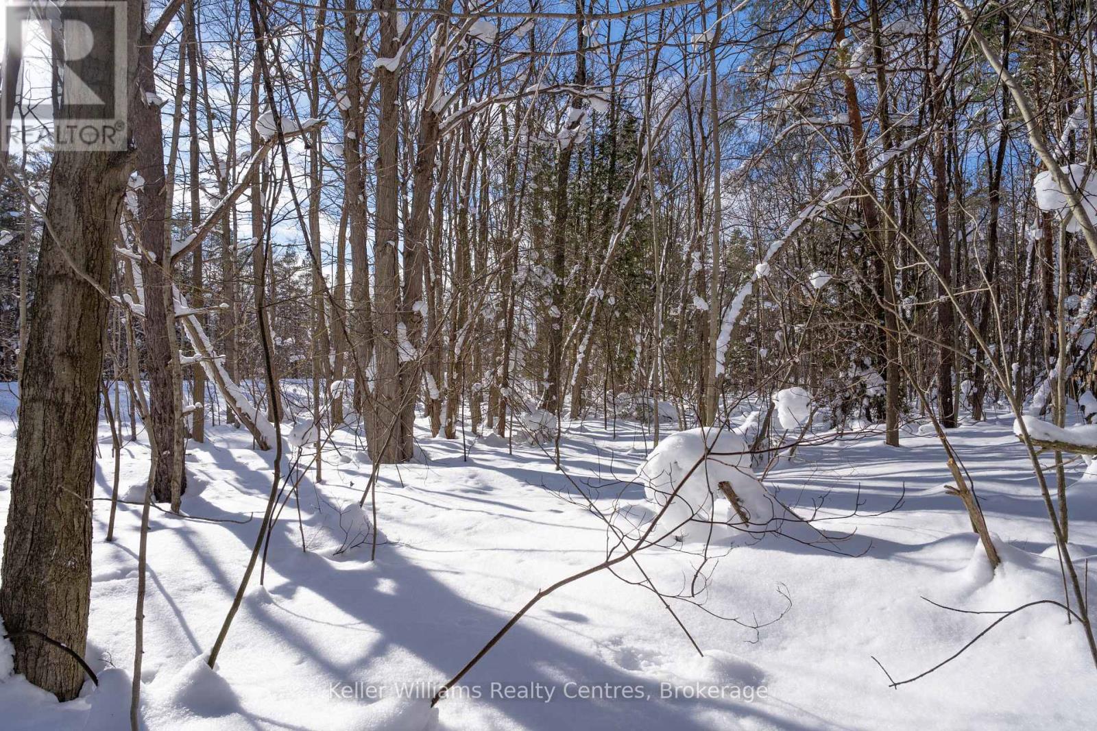 Lot 16 Grey Road 17, Georgian Bluffs, Ontario  N0H 2T0 - Photo 24 - X12763134