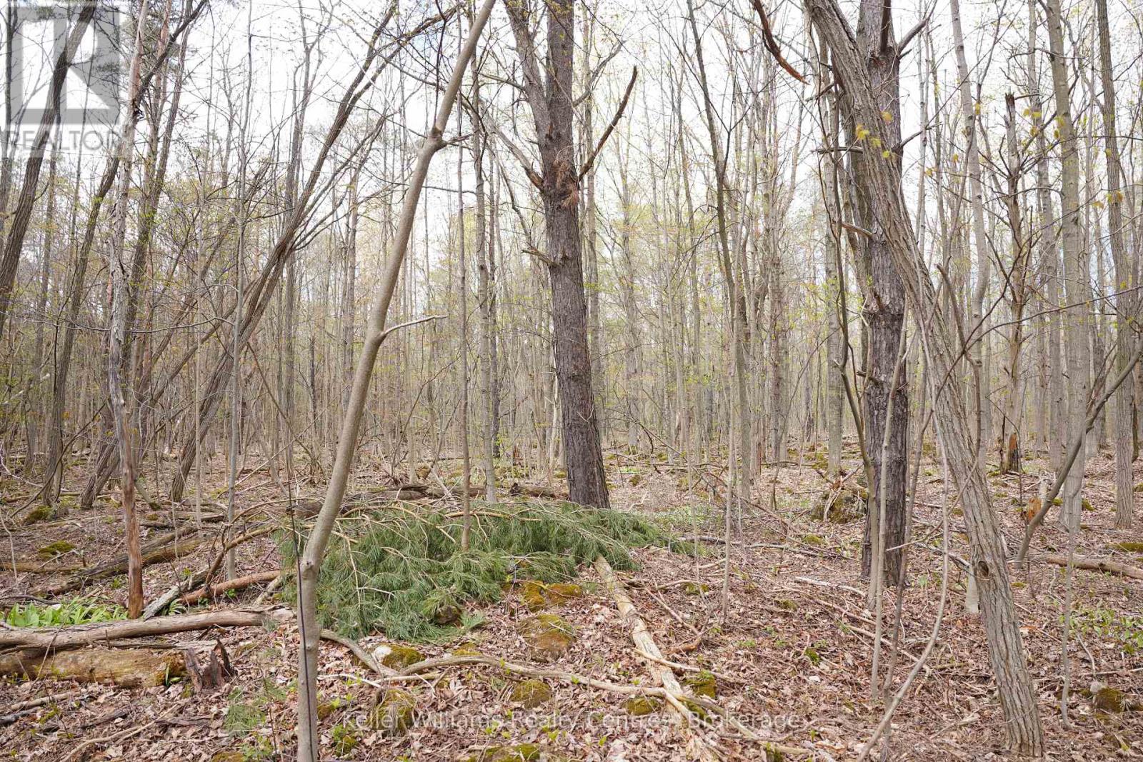 Lot 16 Grey Road 17, Georgian Bluffs, Ontario  N0H 2T0 - Photo 5 - X12763134