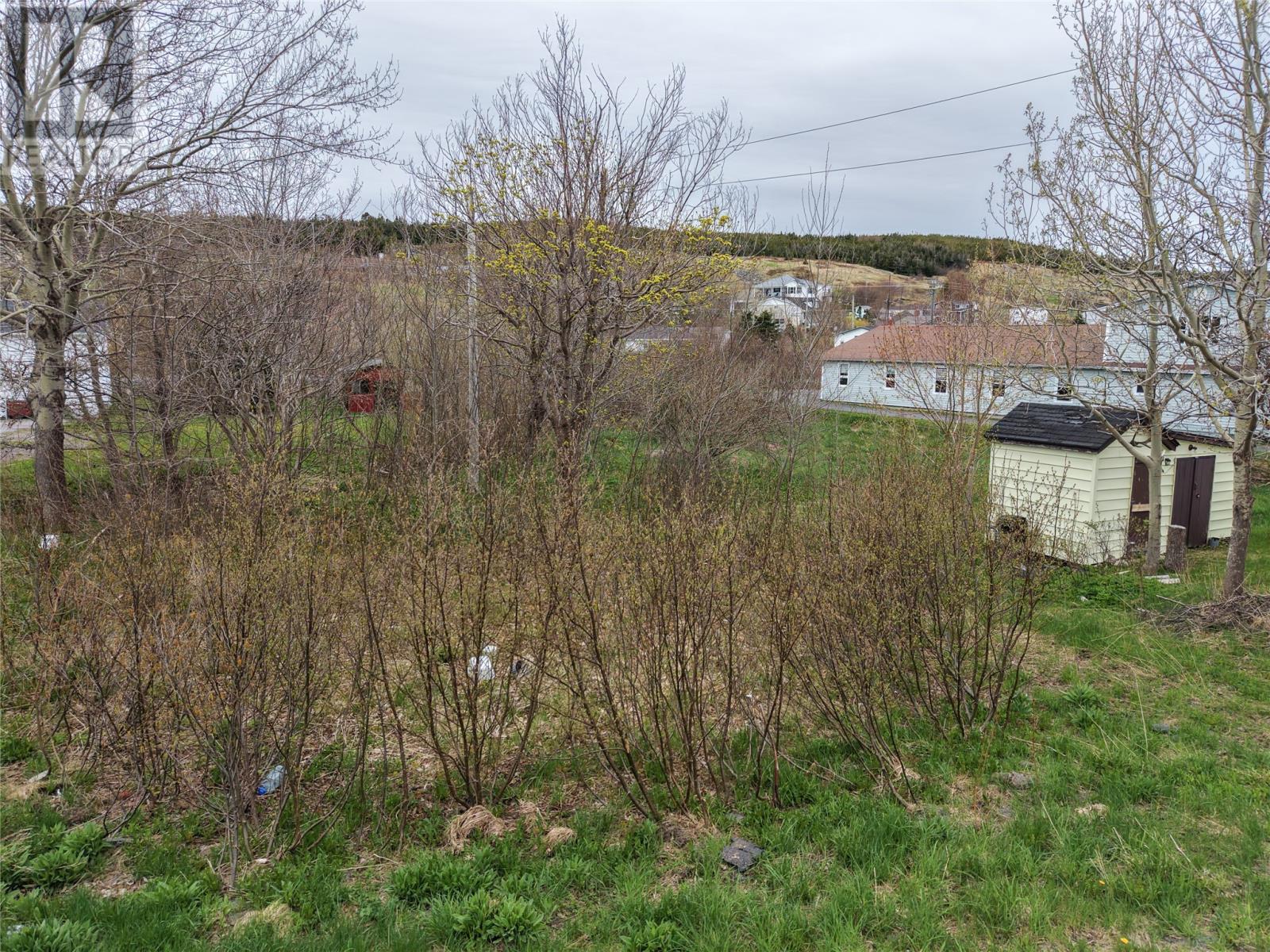 4 Brook Lane, Winterton, Newfoundland & Labrador  A0B 3M0 - Photo 4 - 1297915