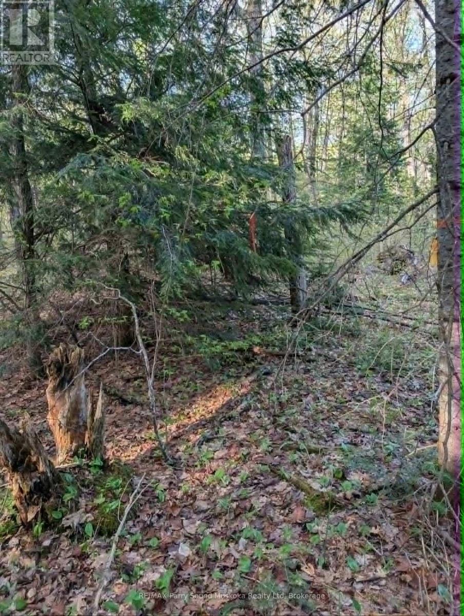 0 Sugar Lake Road, Seguin, Ontario  P2A 2W9 - Photo 14 - X13160102