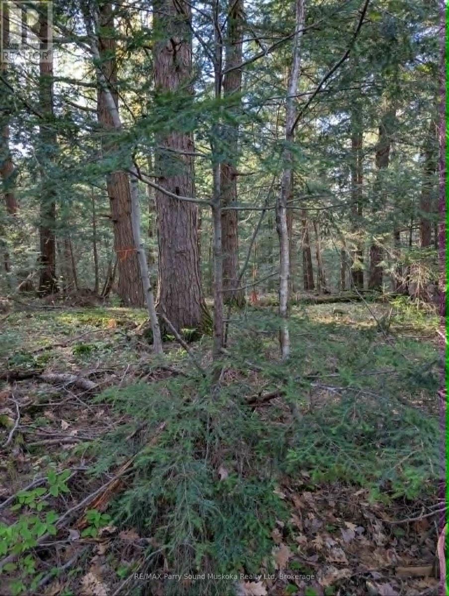 0 Sugar Lake Road, Seguin, Ontario  P2A 2W9 - Photo 15 - X13160102