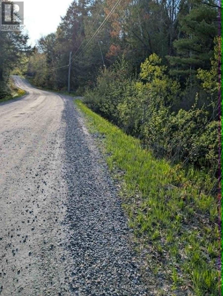 0 Sugar Lake Road, Seguin, Ontario  P2A 2W9 - Photo 18 - X13160102