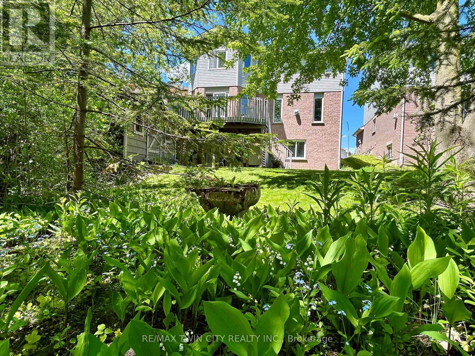 6 Ardwood Place, Kitchener, Ontario  N2A 4C3 - Photo 49 - X12925380