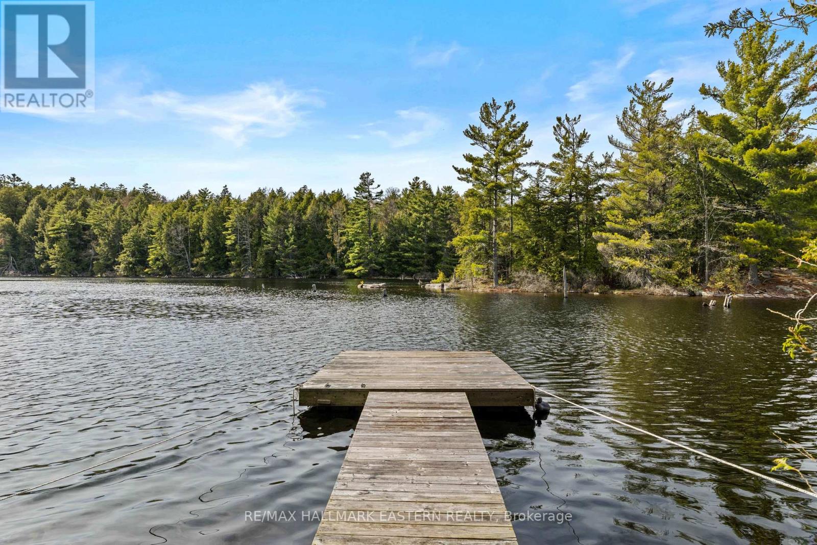 44 Fire Route 196a, Trent Lakes, Ontario  K0L 1J0 - Photo 35 - X13150740