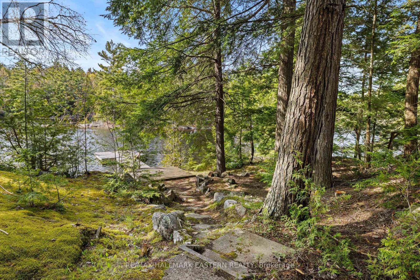 44 Fire Route 196a, Trent Lakes, Ontario  K0L 1J0 - Photo 34 - X13150740