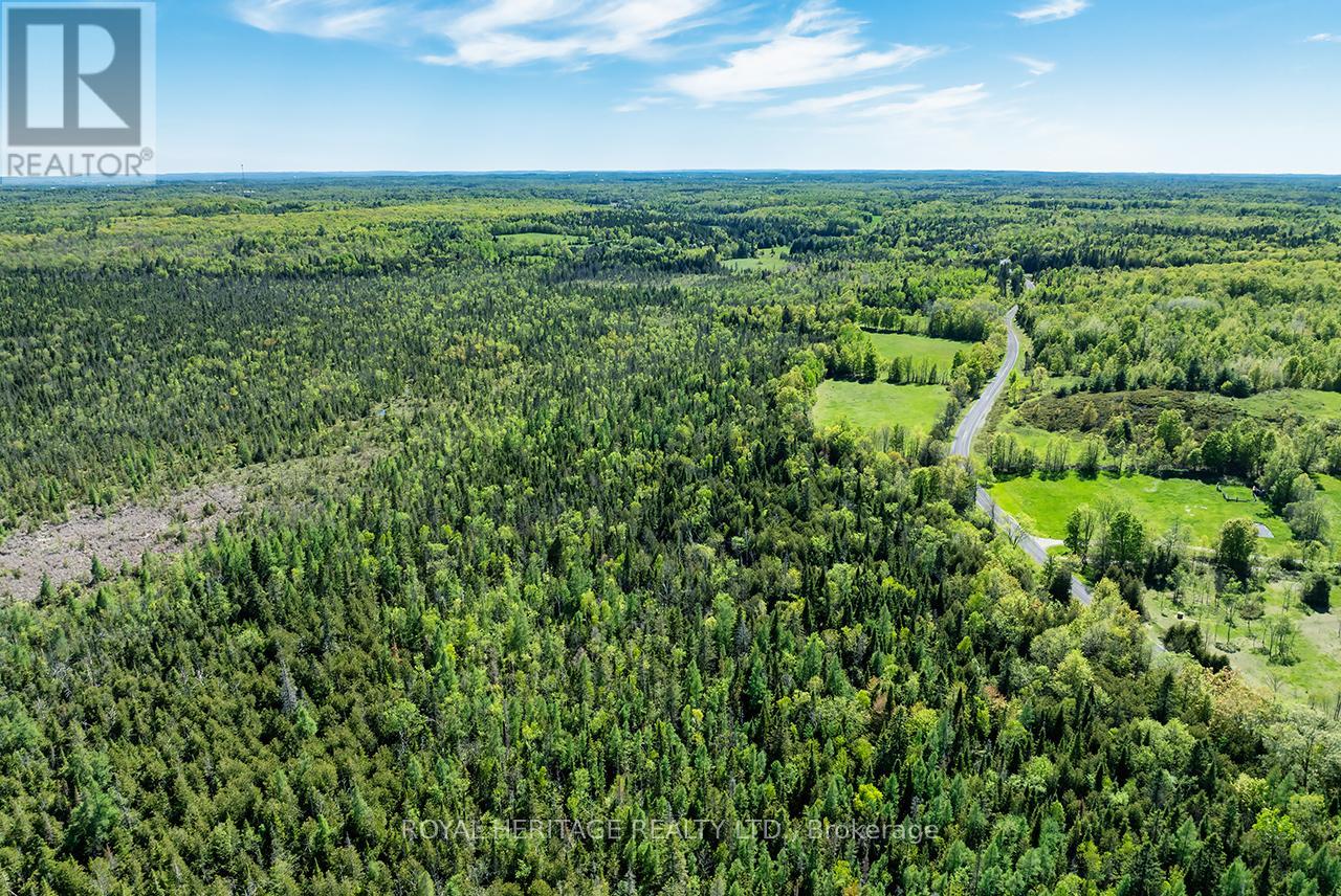538 Spry Road, Stirling-Rawdon, Ontario  K0K 2M0 - Photo 6 - X13155834