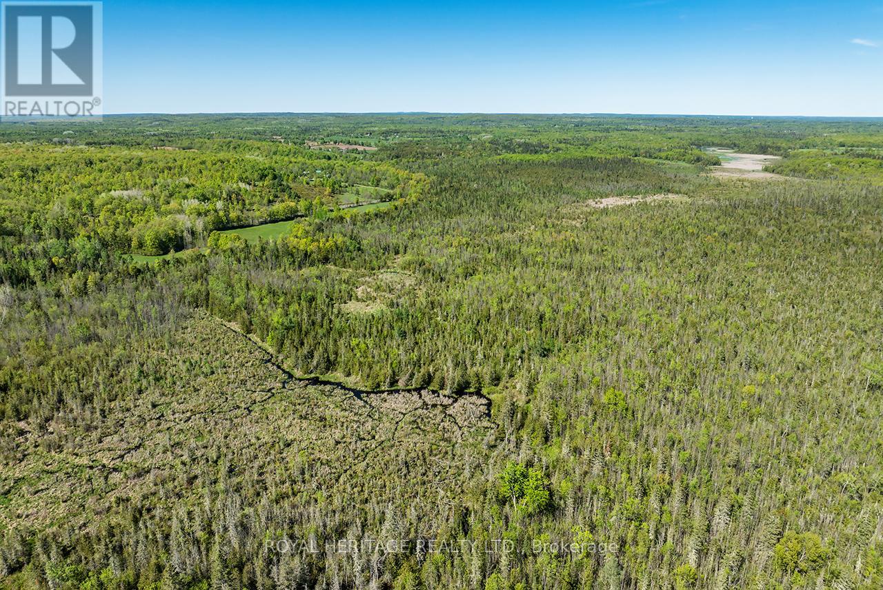 538 Spry Road, Stirling-Rawdon, Ontario  K0K 2M0 - Photo 9 - X13155834