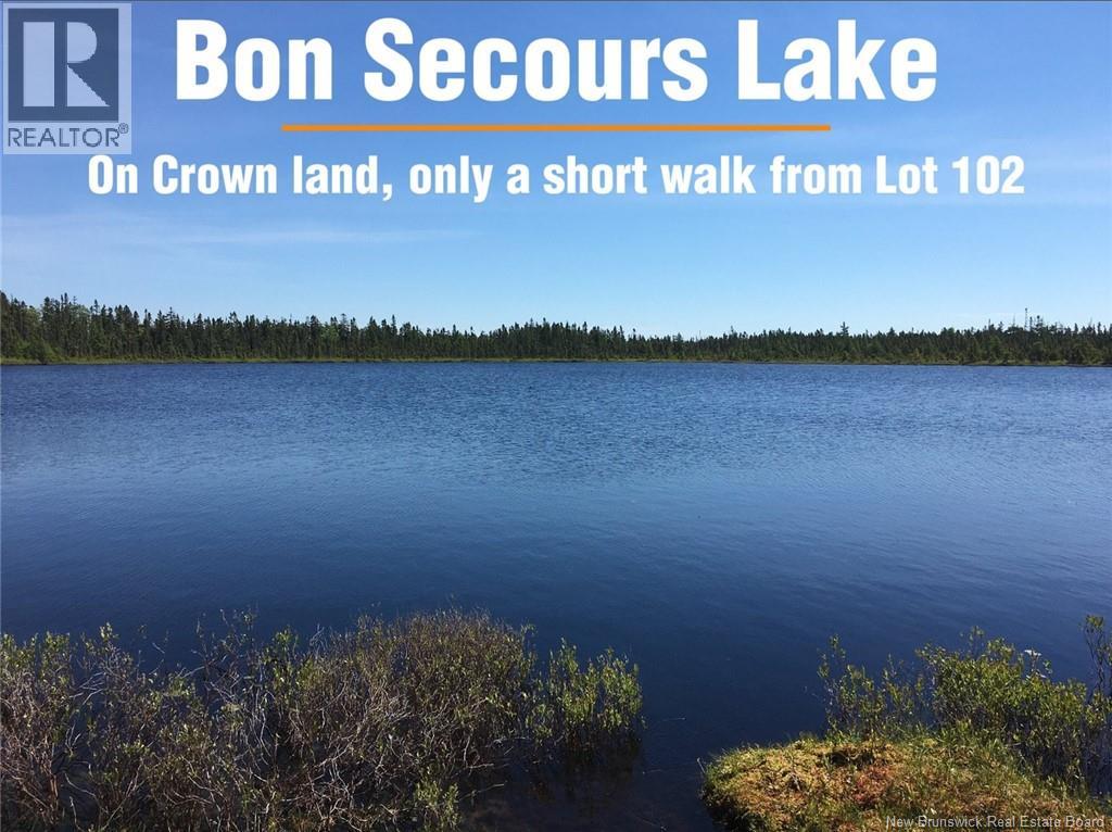 Lot 102 Off Bristol Road, Saint-Paul, New Brunswick  E4T 3C4 - Photo 2 - NB139715