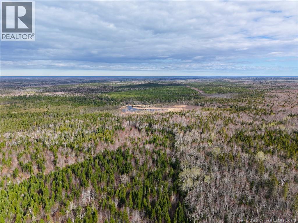 Lot 102 Off Bristol Road, Saint-Paul, New Brunswick  E4T 3C4 - Photo 3 - NB139715