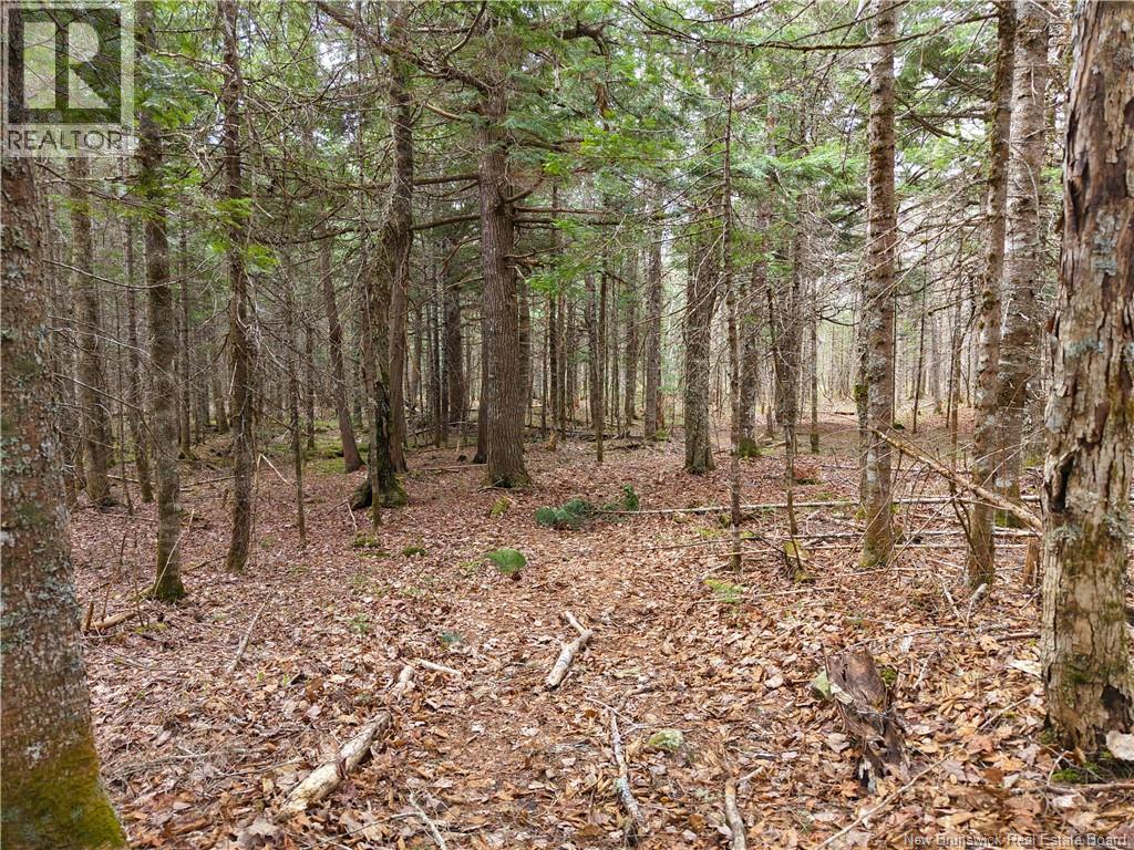 Lot 102 Off Bristol Road, Saint-Paul, New Brunswick  E4T 3C4 - Photo 4 - NB139715