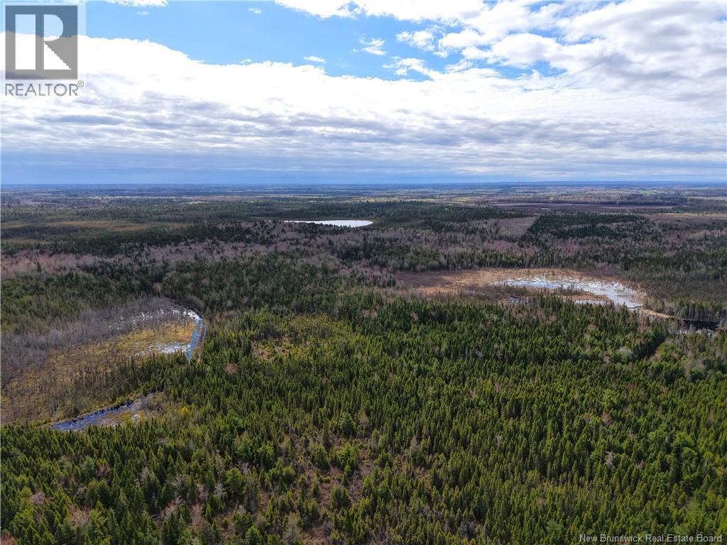Lot 102 Off Bristol Road, Saint-Paul, New Brunswick  E4T 3C4 - Photo 5 - NB139715