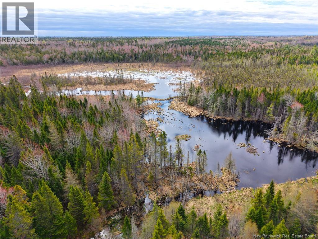 Lot 102 Off Bristol Road, Saint-Paul, New Brunswick  E4T 3C4 - Photo 6 - NB139715