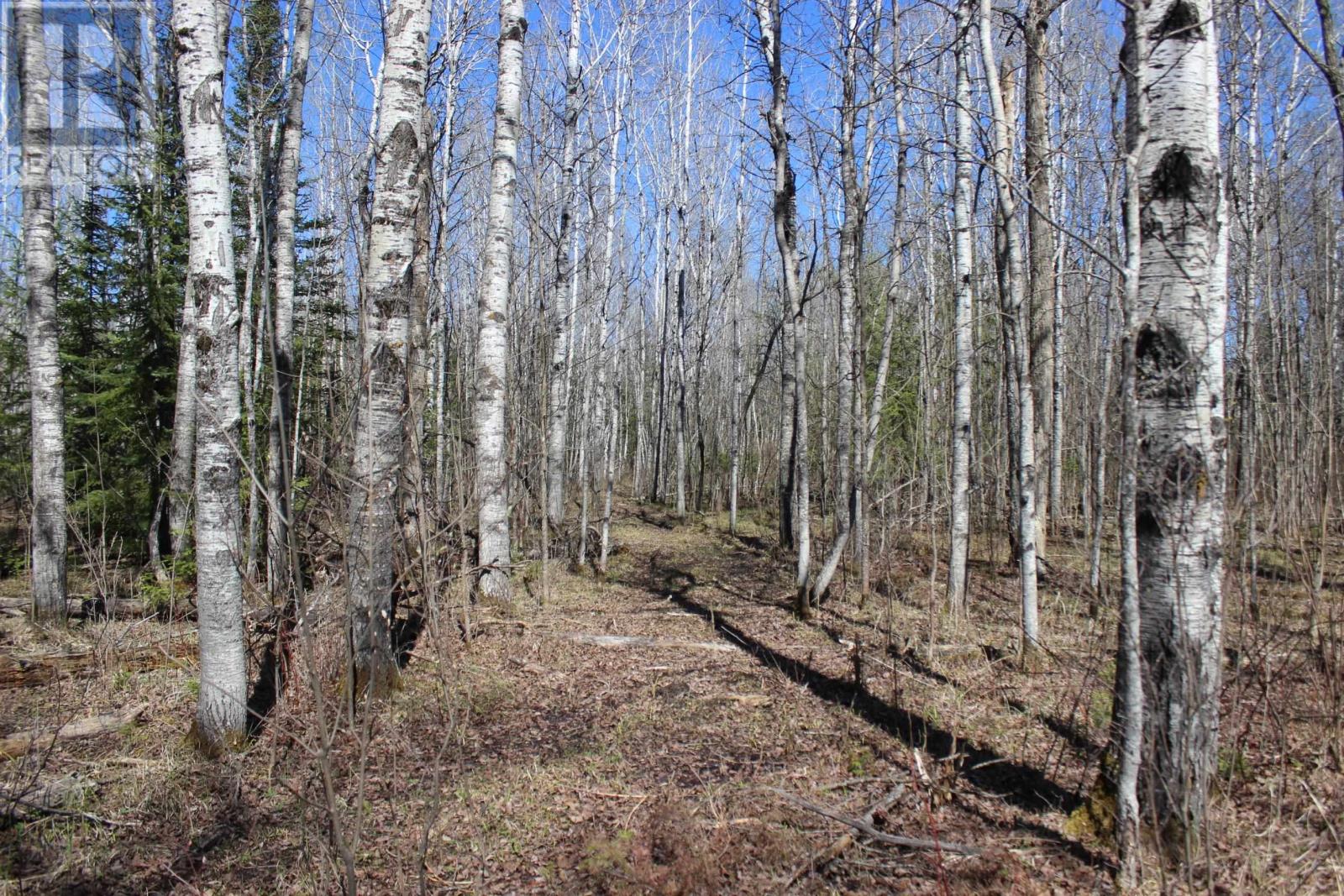 Pcl 19740 Johnson Rd, Unorganized, Pinewood, Ontario  P0W 1K0 - Photo 38 - TB2601147