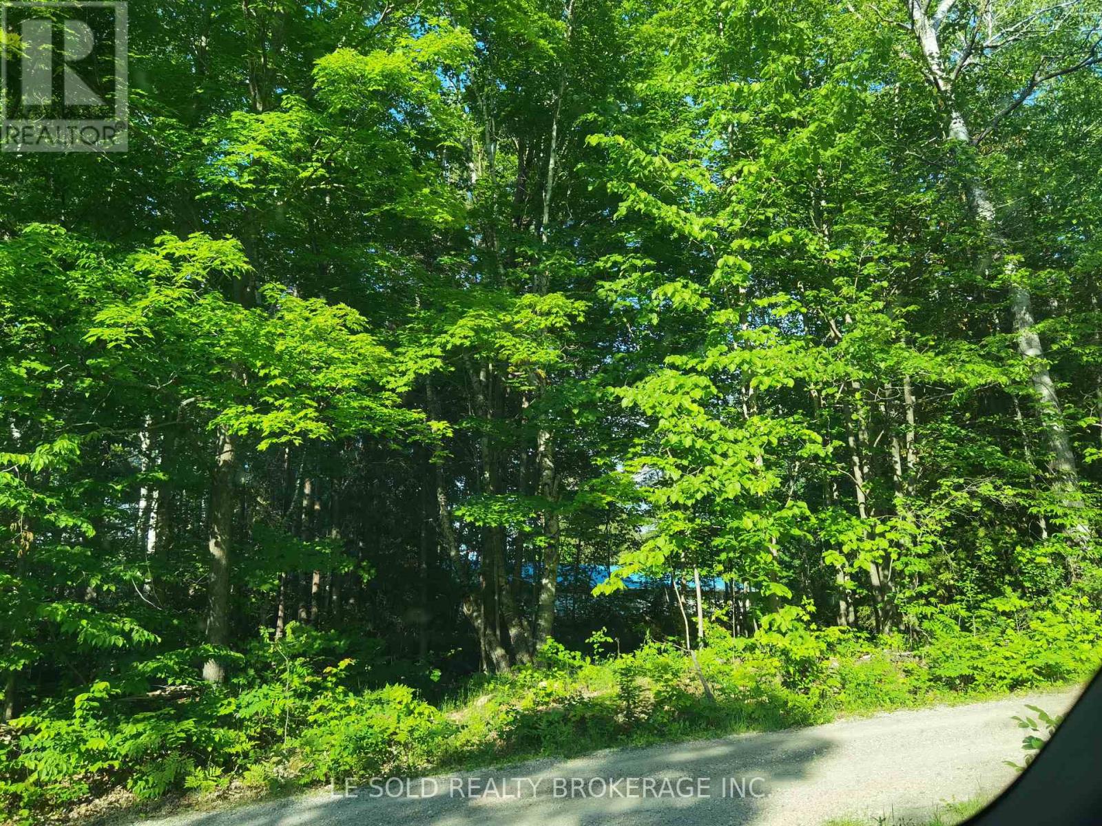 C - 97 Tranquility Bay Drive, Bonnechere Valley, Ontario K0J 2A0 - Photo 4 - X13160696
