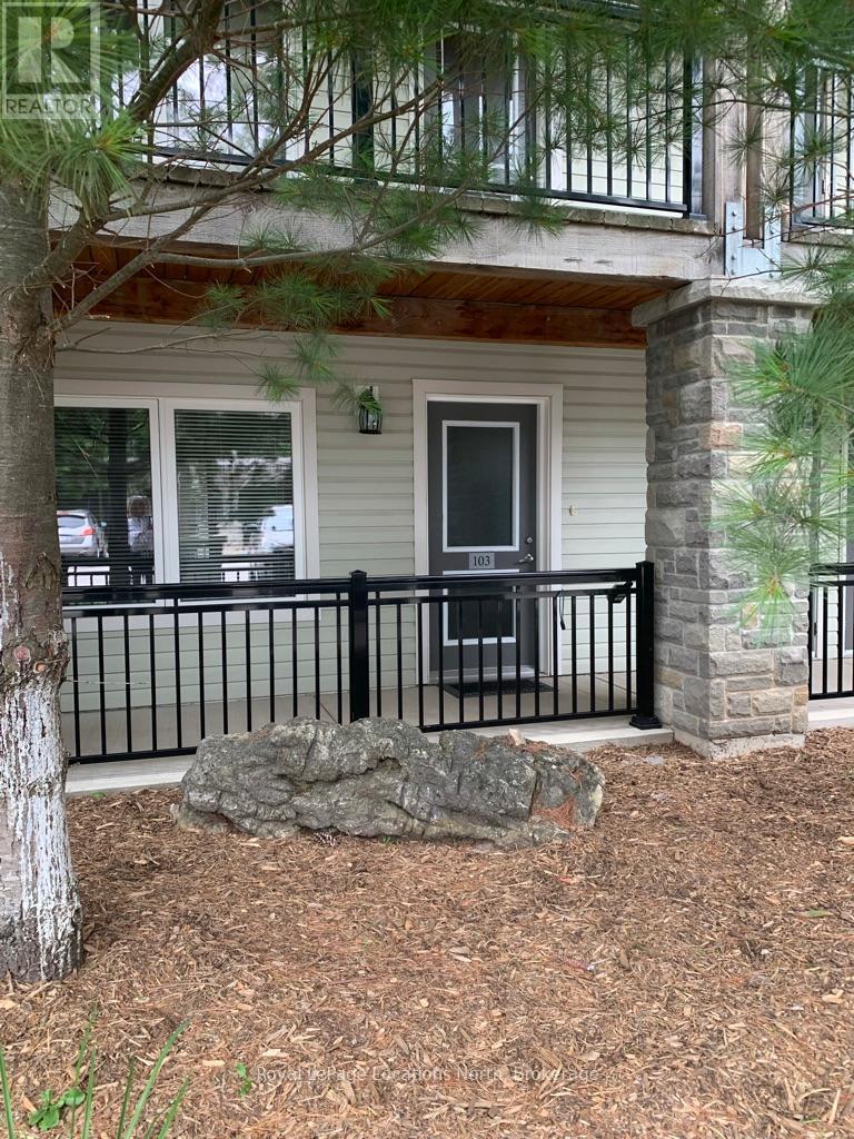 103 - 1 Brandy Lane Drive, Collingwood, Ontario  L9Y 0X4 - Photo 2 - S13160976