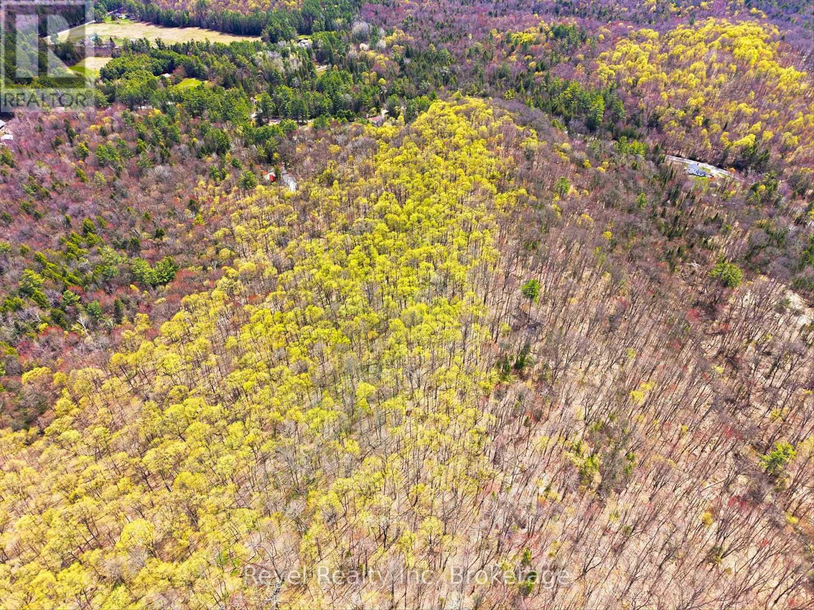 1163 Vankoughnet Road, Bracebridge, Ontario  P1L 1X1 - Photo 14 - X13161288