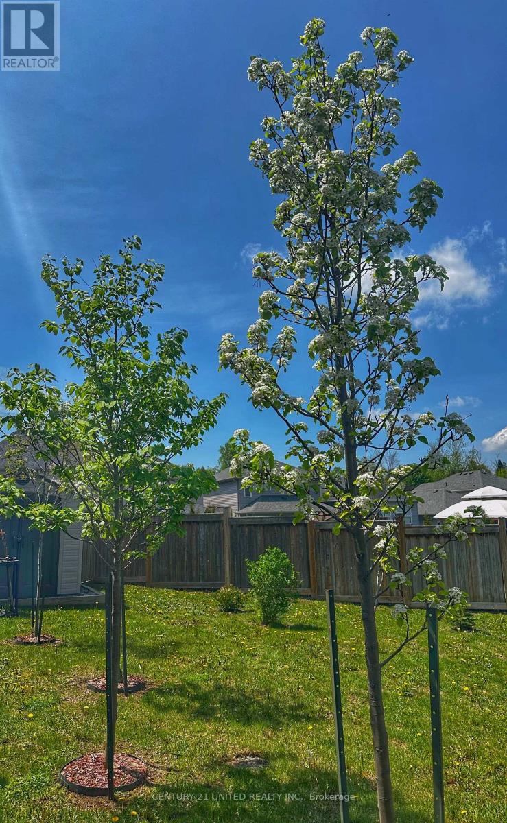 14 Summer Lane, Peterborough, Ontario  K9L 0G4 - Photo 36 - X13072124
