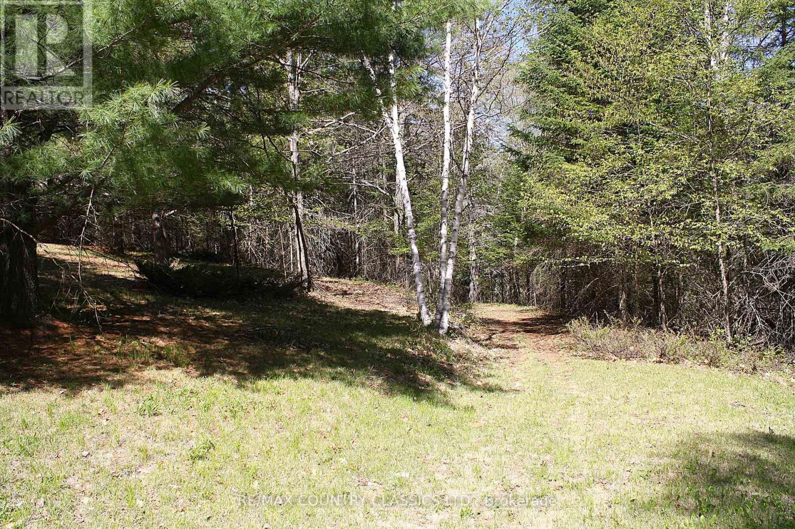Unknown Address, ,    - Photo 10 - X13156988