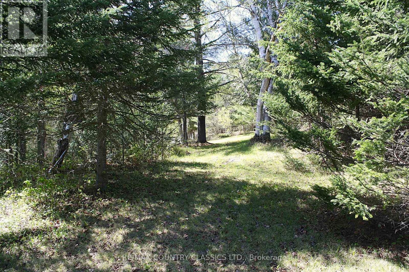 Unknown Address, ,    - Photo 11 - X13156988