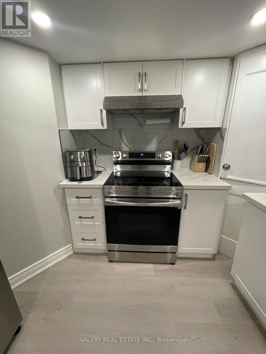 Lower - 7 Auckland Dr Drive, Whitby, Ontario  L1P 0H4 - Photo 6 - E13160944