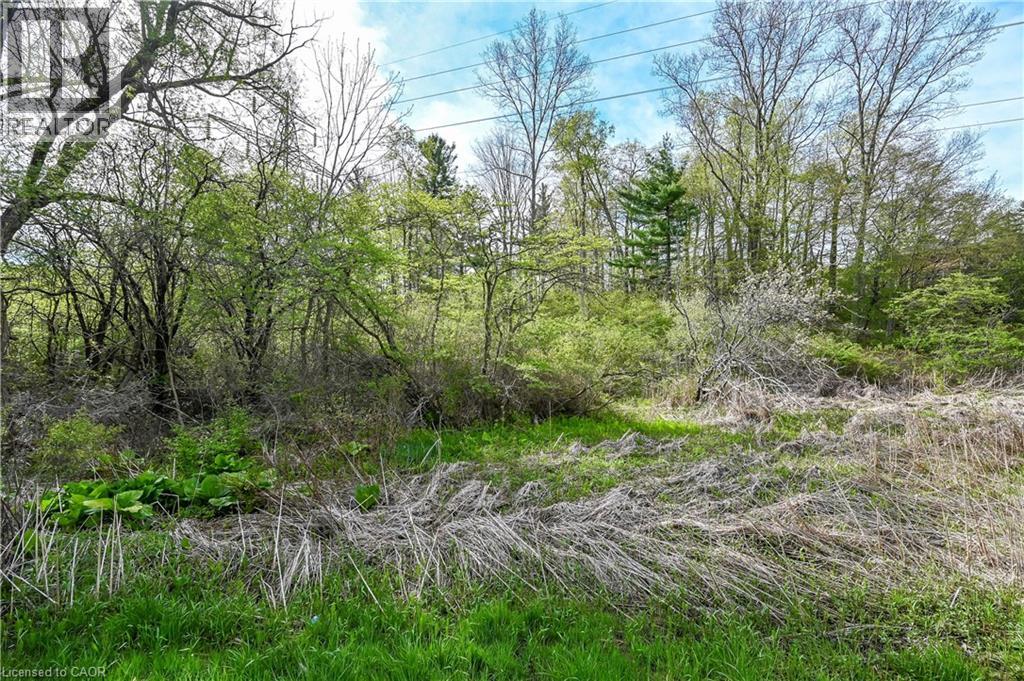 0 Mineral Springs Road, Ancaster, Ontario  L9H 5E3 - Photo 1 - 40832658