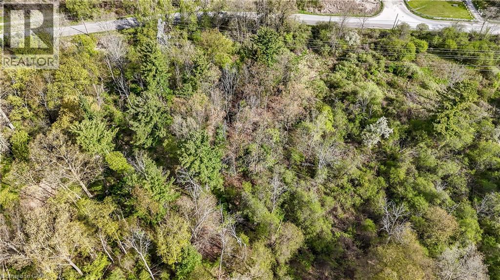 0 Mineral Springs Road, Ancaster, Ontario  L9H 5E3 - Photo 6 - 40832658