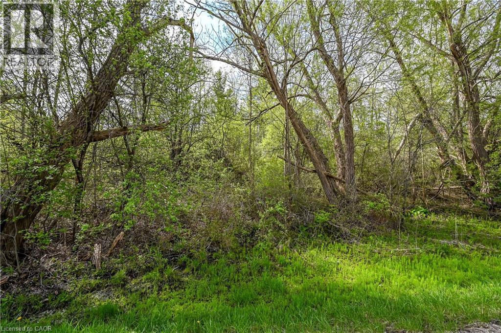 0 Mineral Springs Road, Ancaster, Ontario  L9H 5E3 - Photo 8 - 40832658