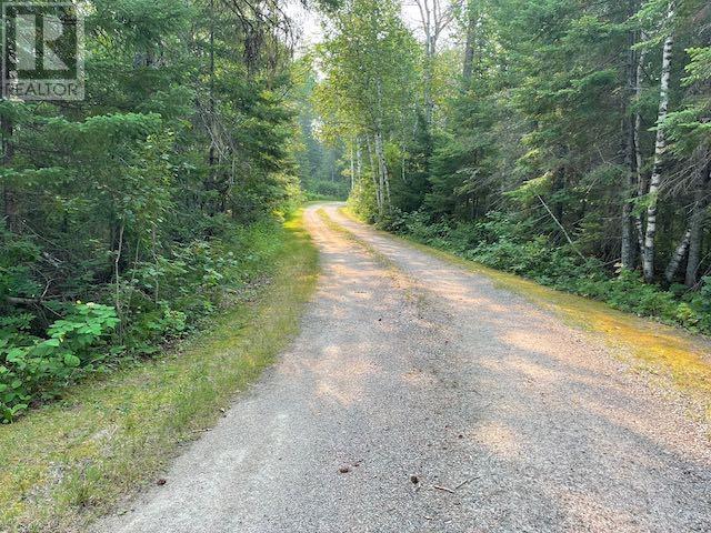2044 Hwy 105, Wabigoon Township, Ontario  P0V 2V0 - Photo 20 - TB2601111