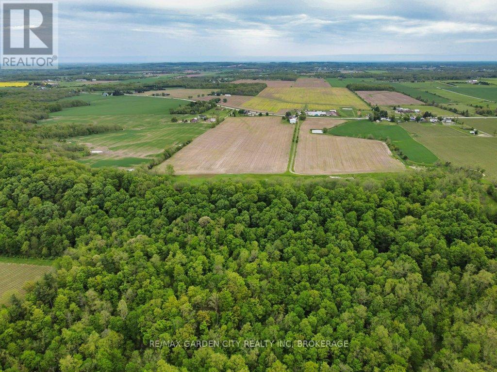 2345 Regional Rd 69 Road, St. Catharines (Rural Eighth), Ontario  L2R 6P7 - Photo 45 - X13161388