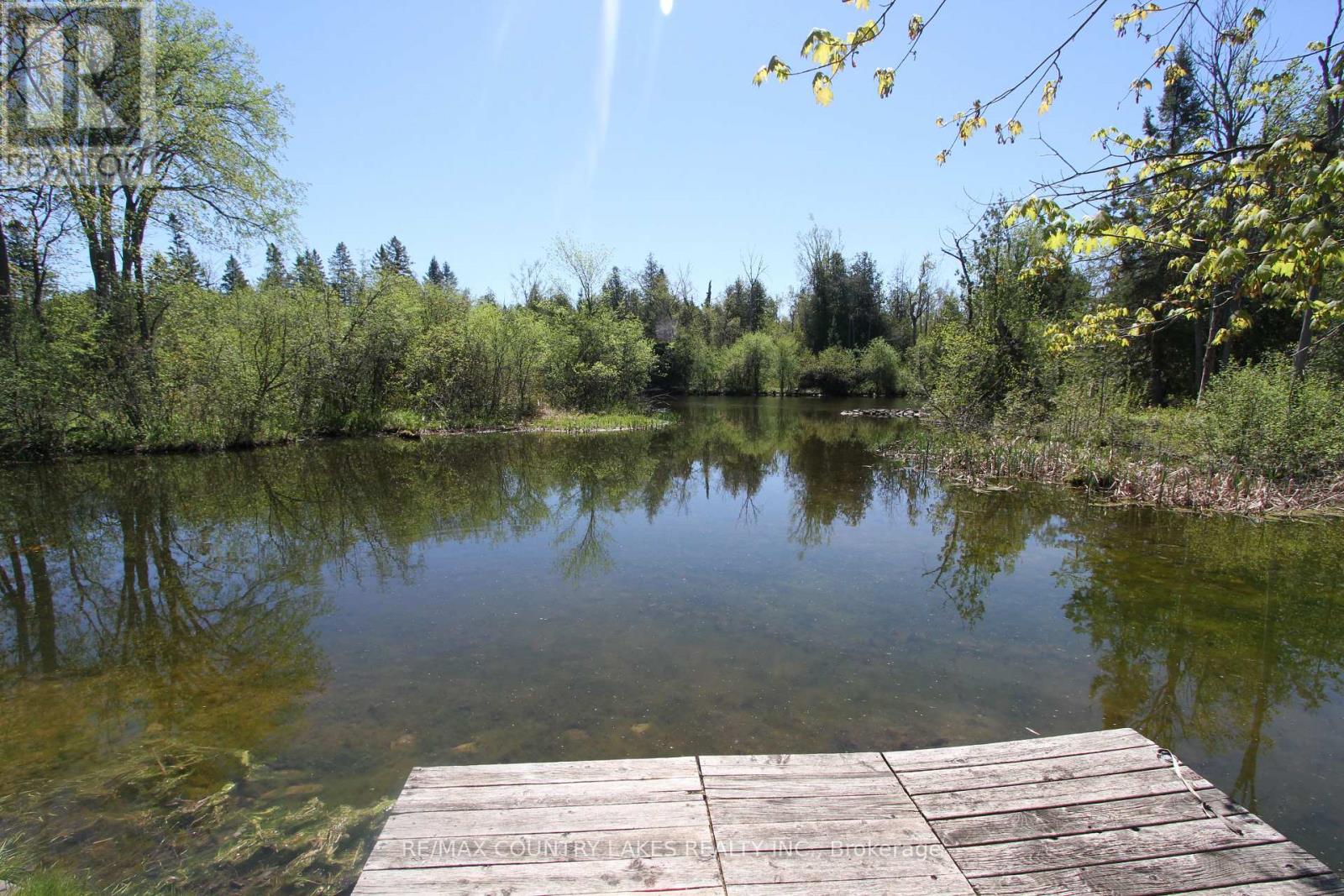77 Mcguire Beach Road, Kawartha Lakes, Ontario  K0M 2B0 - Photo 37 - X13160934