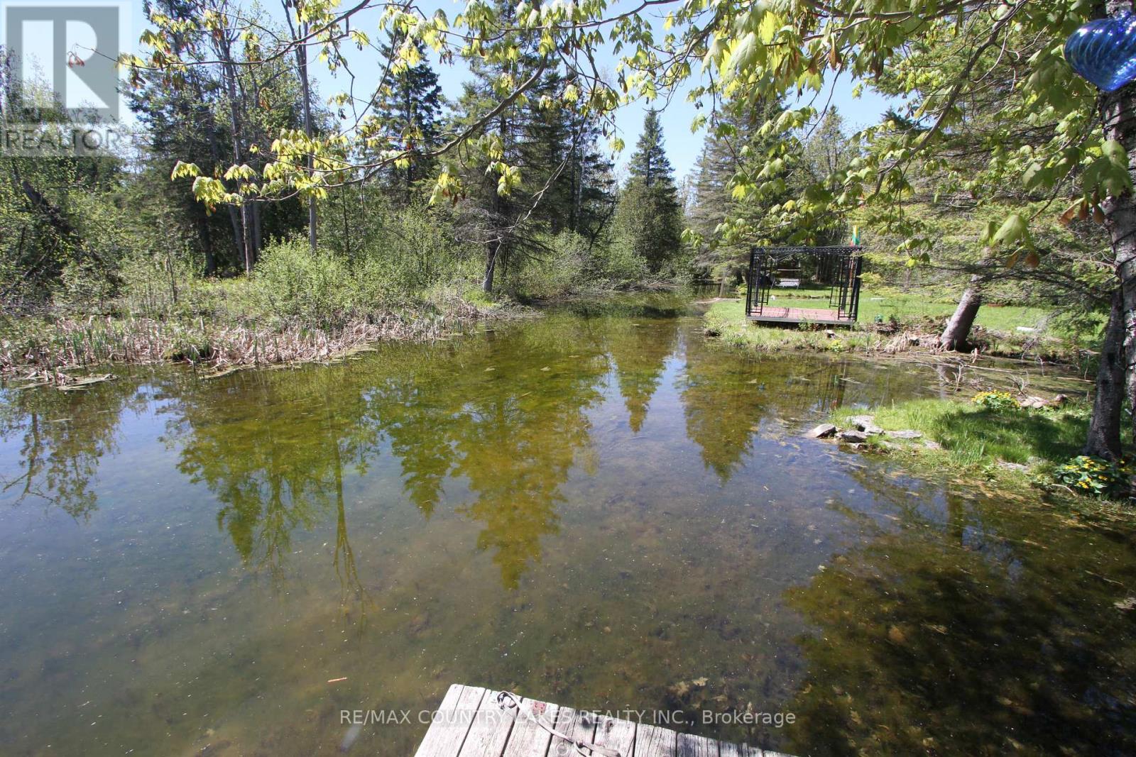 77 Mcguire Beach Road, Kawartha Lakes, Ontario  K0M 2B0 - Photo 38 - X13160934