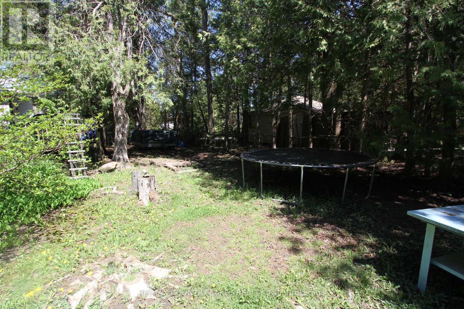 77 Mcguire Beach Road, Kawartha Lakes, Ontario  K0M 2B0 - Photo 39 - X13160934