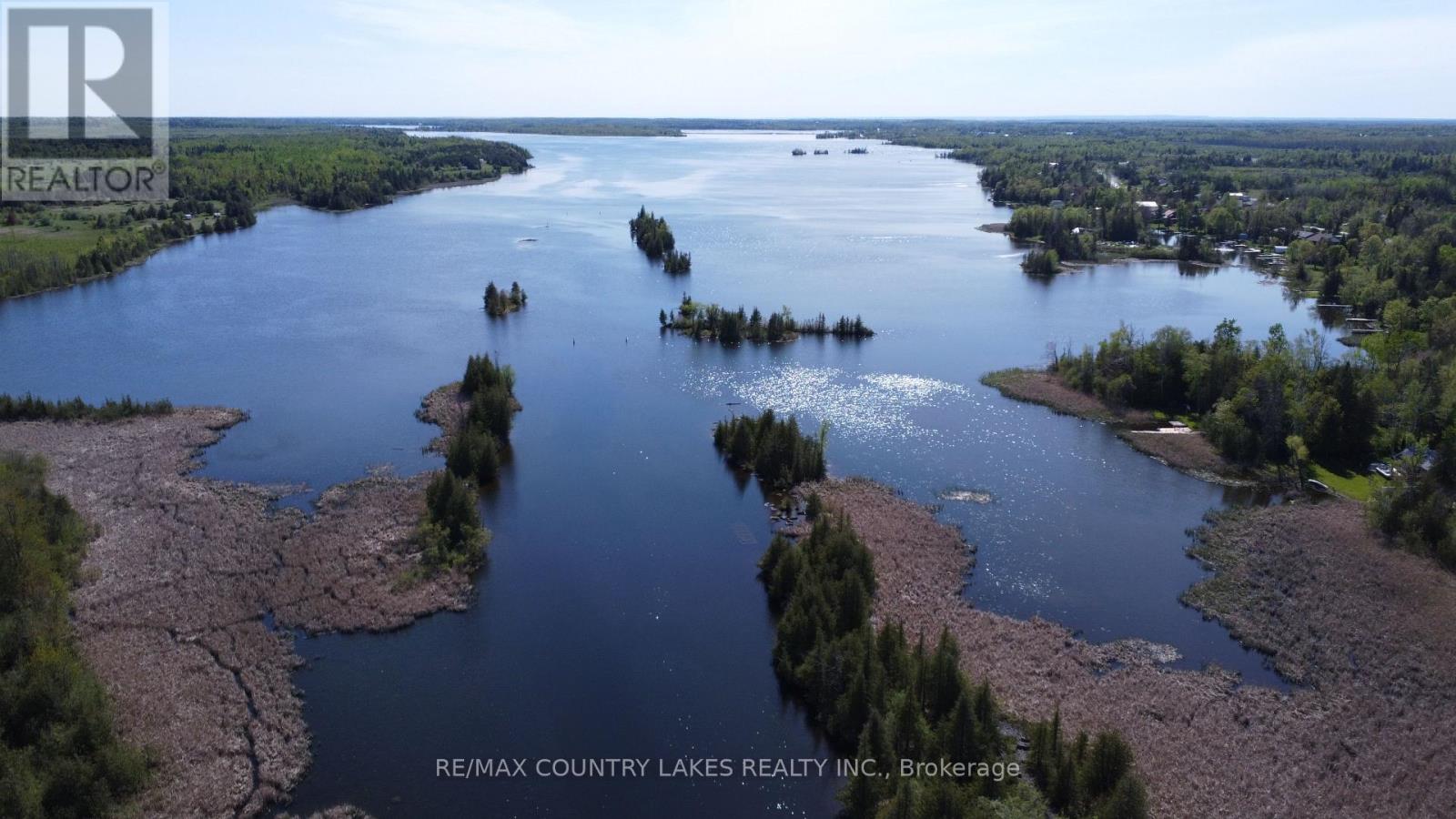 77 Mcguire Beach Road, Kawartha Lakes, Ontario  K0M 2B0 - Photo 41 - X13160934
