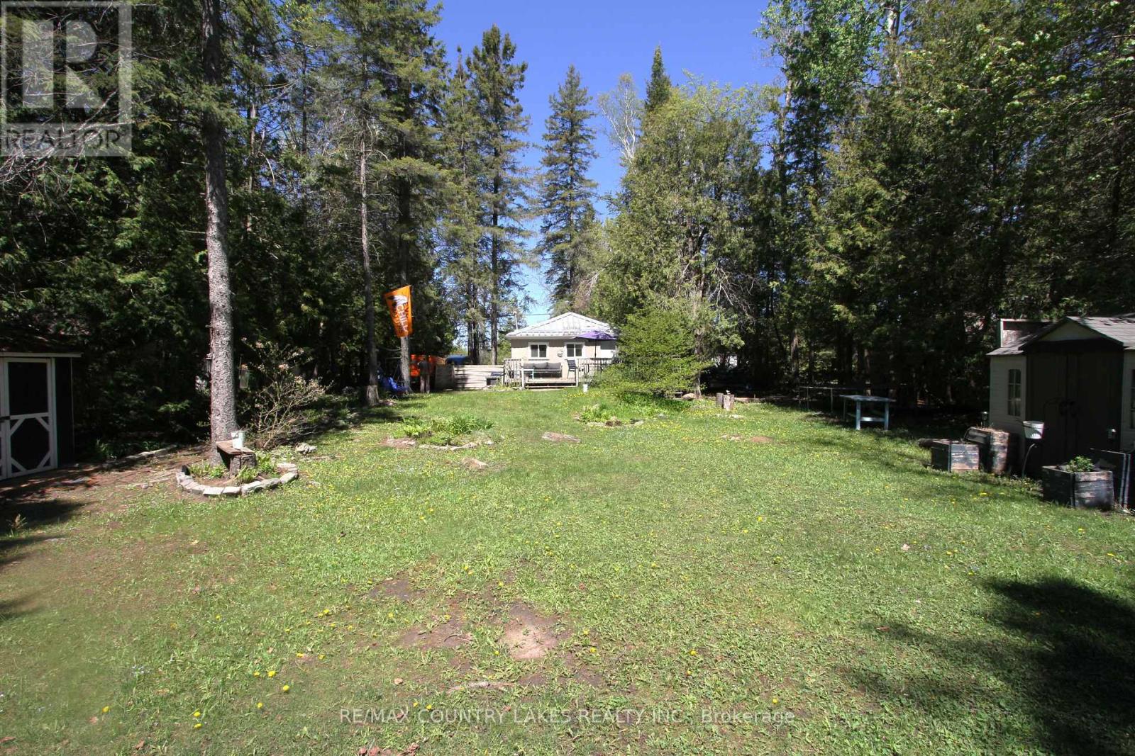 77 Mcguire Beach Road, Kawartha Lakes, Ontario  K0M 2B0 - Photo 5 - X13160934