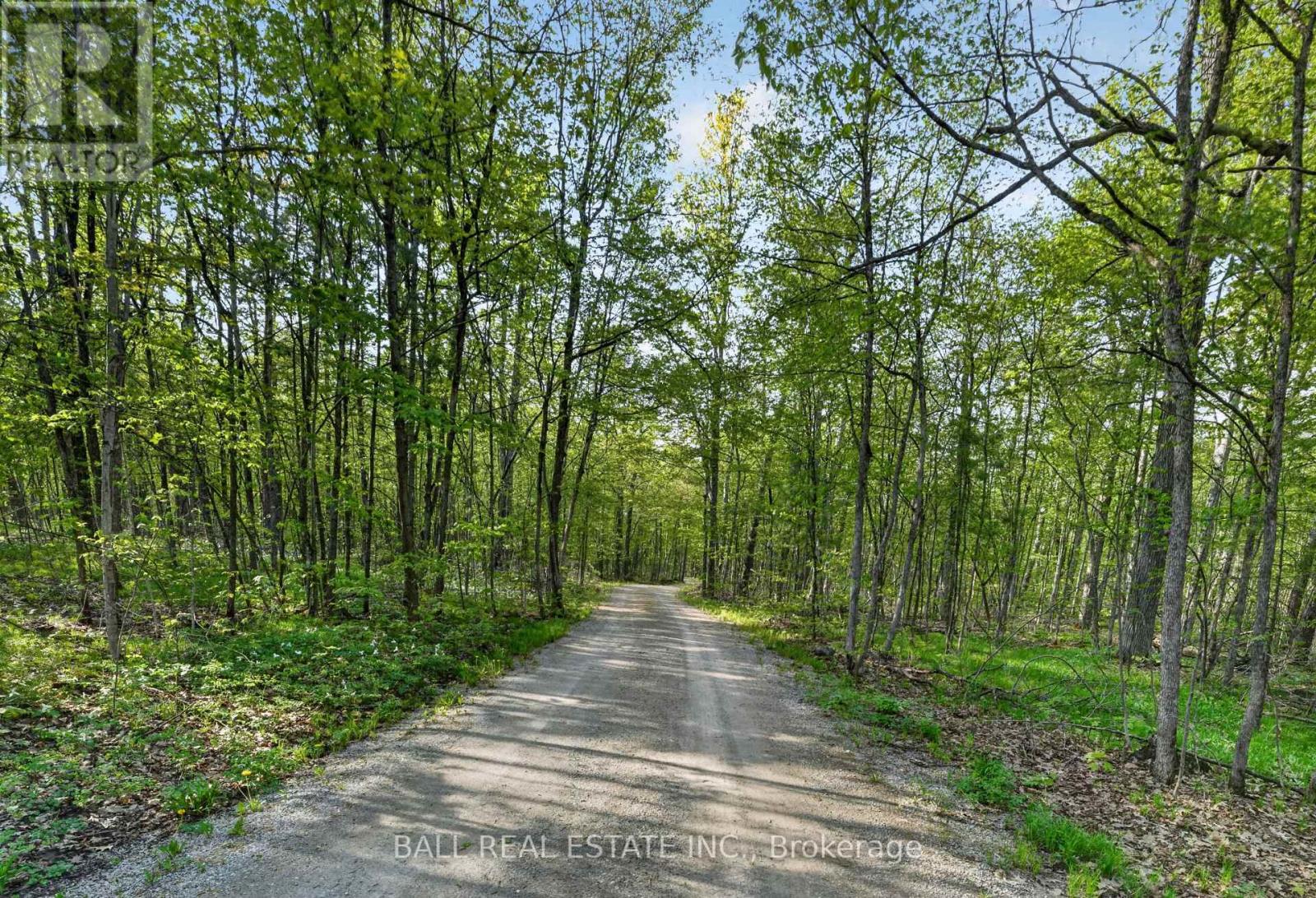 2480 Fire Route 35, Selwyn, Ontario  K0L 2H0 - Photo 49 - X13161438