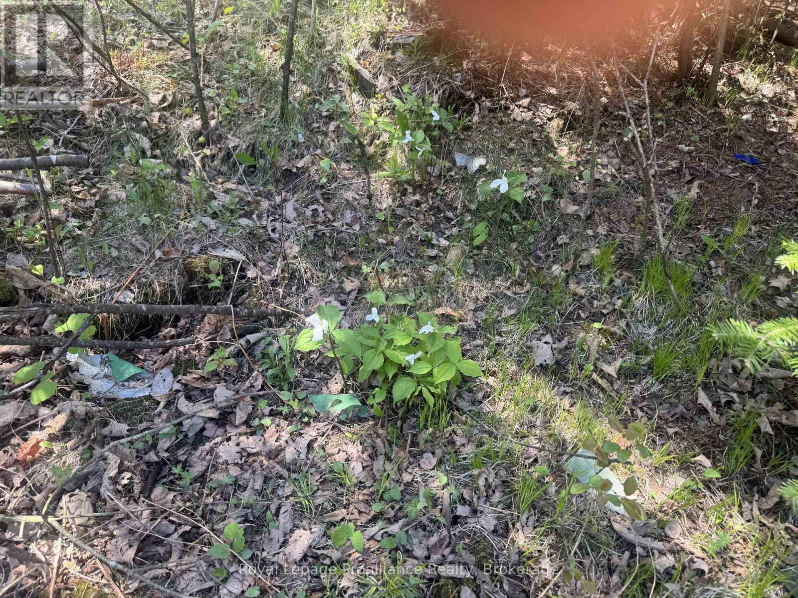 920 Beaver Creek Road, Marmora And Lake (Marmora Ward), Ontario  K0K 2M0 - Photo 14 - X13161166