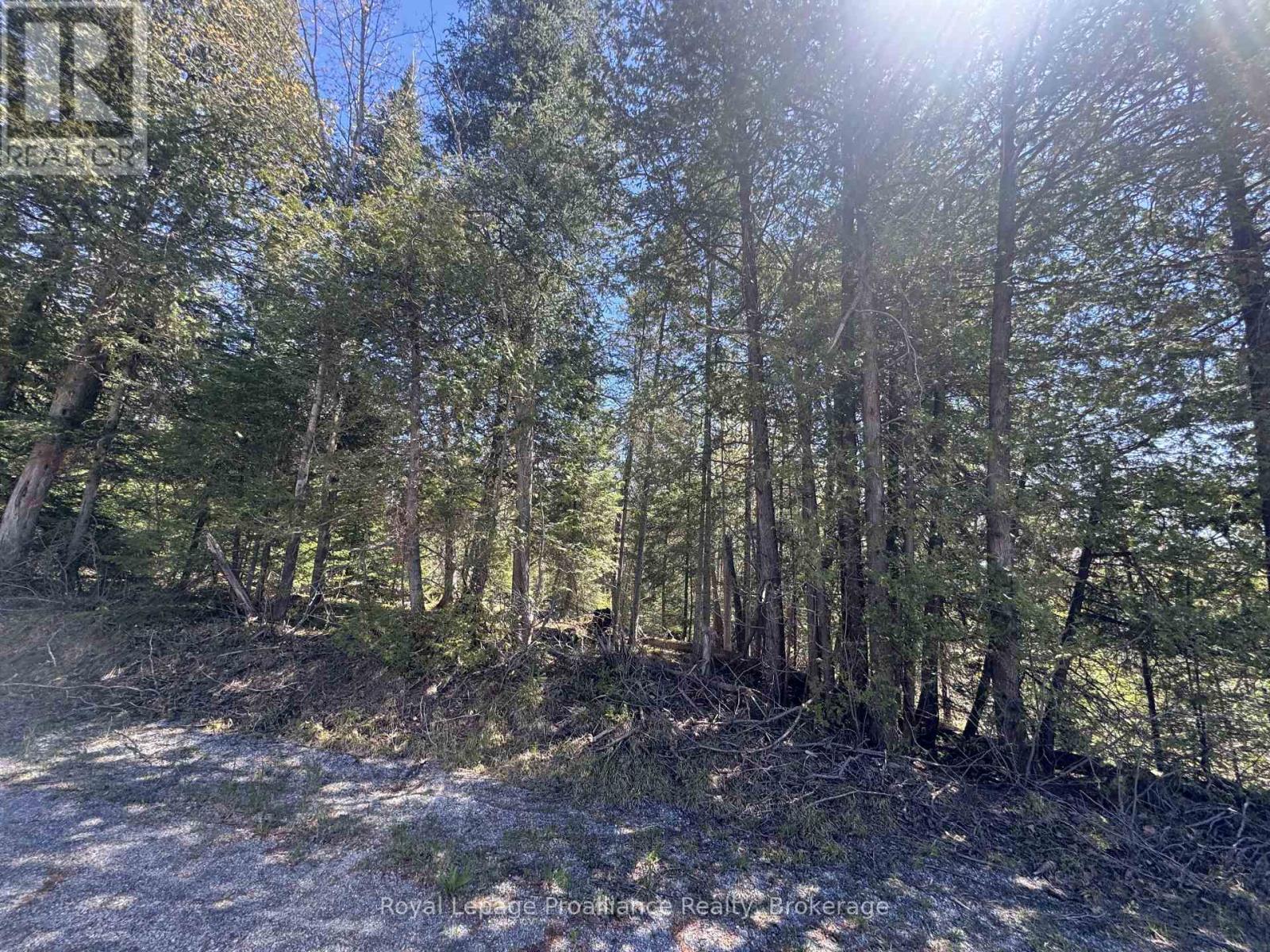 920 Beaver Creek Road, Marmora And Lake (Marmora Ward), Ontario  K0K 2M0 - Photo 24 - X13161166
