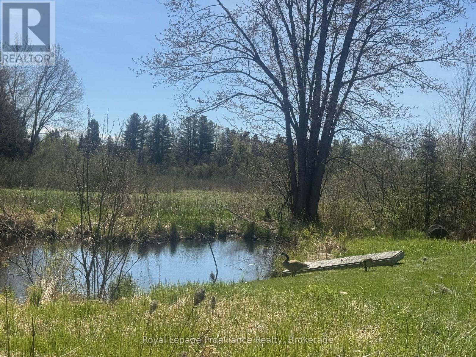 920 Beaver Creek Road, Marmora And Lake (Marmora Ward), Ontario  K0K 2M0 - Photo 21 - X13161166