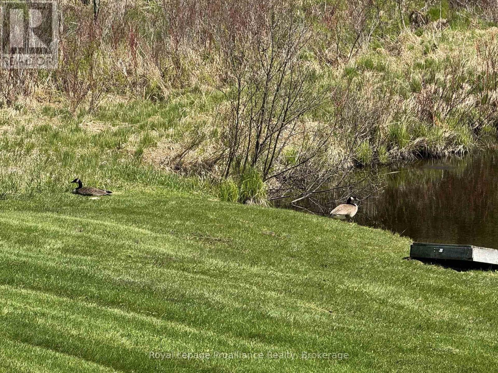 920 Beaver Creek Road, Marmora And Lake (Marmora Ward), Ontario  K0K 2M0 - Photo 18 - X13161166