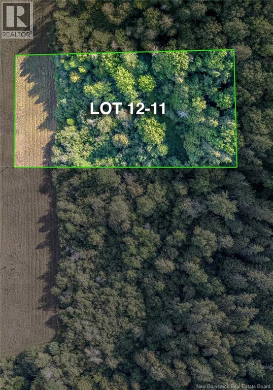 Vacant Lot Earl Lane, Kiersteadville, New Brunswick  E5N 7W7 - Photo 12 - NB135600
