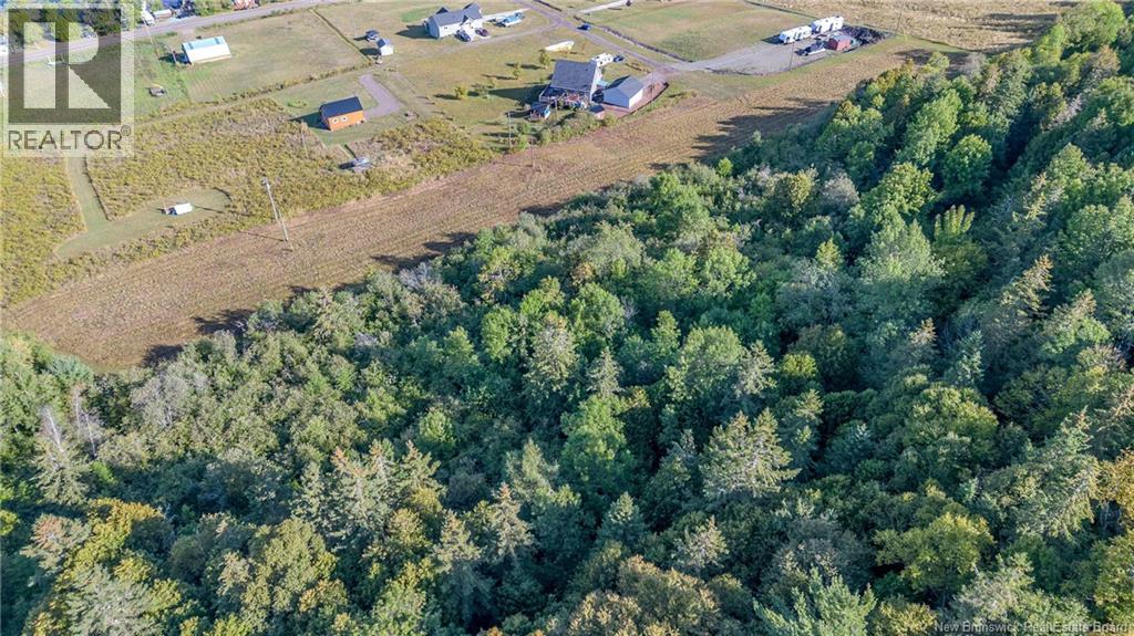 Vacant Lot Earl Lane, Kiersteadville, New Brunswick  E5N 7W7 - Photo 10 - NB135600