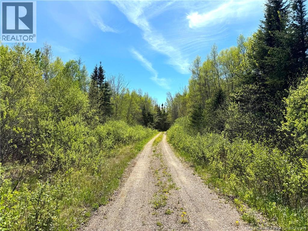 395 Route 630, Andersonville, New Brunswick  E5A 1C8 - Photo 4 - NB139819