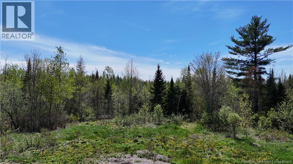 395 Route 630, Andersonville, New Brunswick  E5A 1C8 - Photo 8 - NB139819