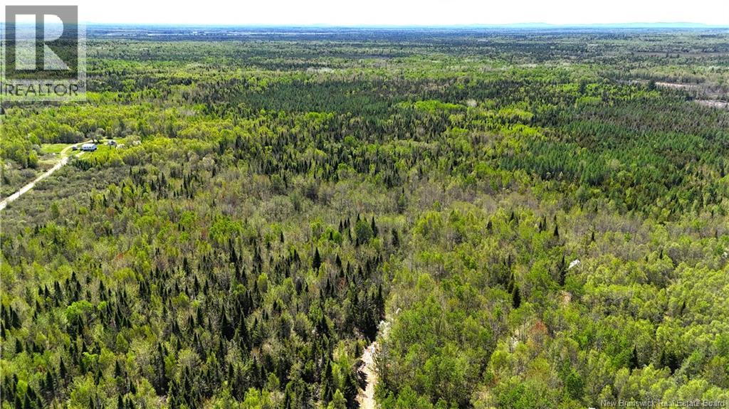 395 Route 630, Andersonville, New Brunswick  E5A 1C8 - Photo 14 - NB139819