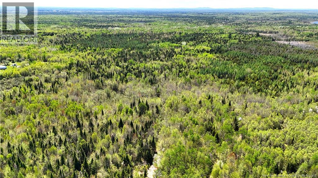 395 Route 630, Andersonville, New Brunswick  E5A 1C8 - Photo 18 - NB139819