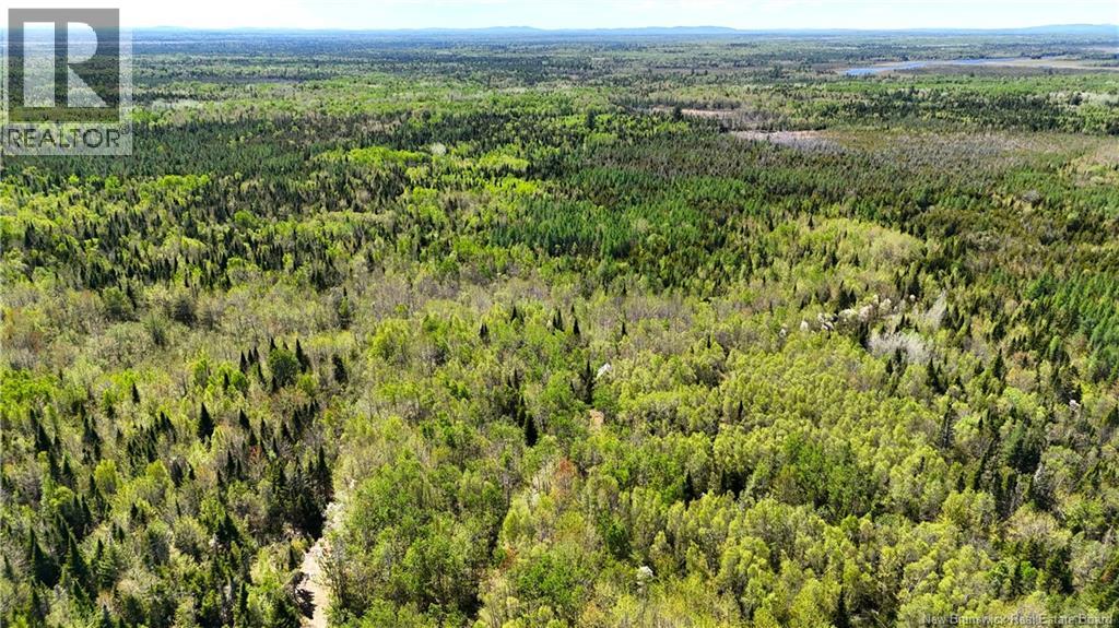 395 Route 630, Andersonville, New Brunswick  E5A 1C8 - Photo 13 - NB139819