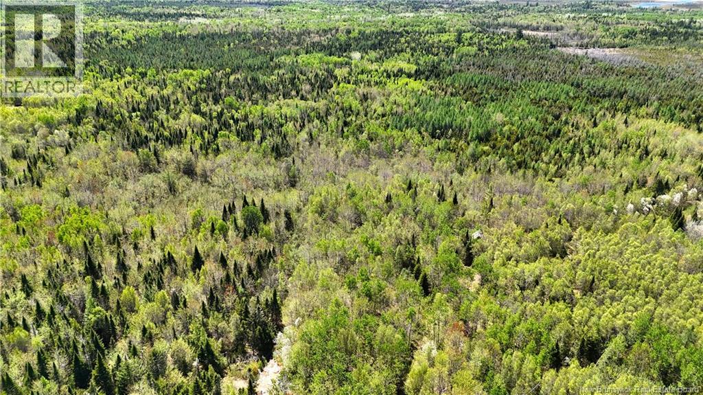 395 Route 630, Andersonville, New Brunswick  E5A 1C8 - Photo 19 - NB139819