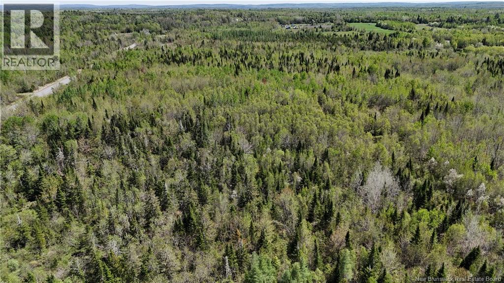395 Route 630, Andersonville, New Brunswick  E5A 1C8 - Photo 21 - NB139819